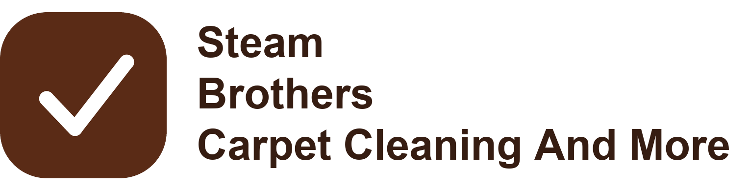 Steam Brothers Carpet Cleaning And More